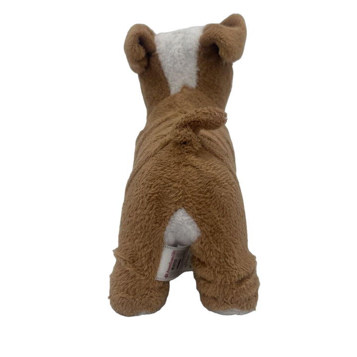 American Girl Dog - Meatloaf