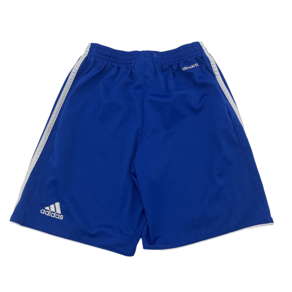 Athletic Shorts / Side Stripes