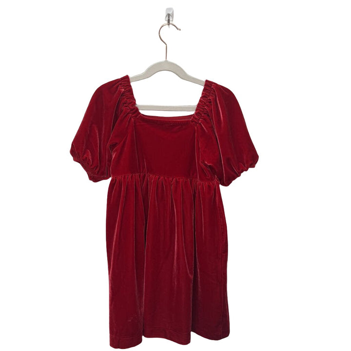 LS Velvet Dress