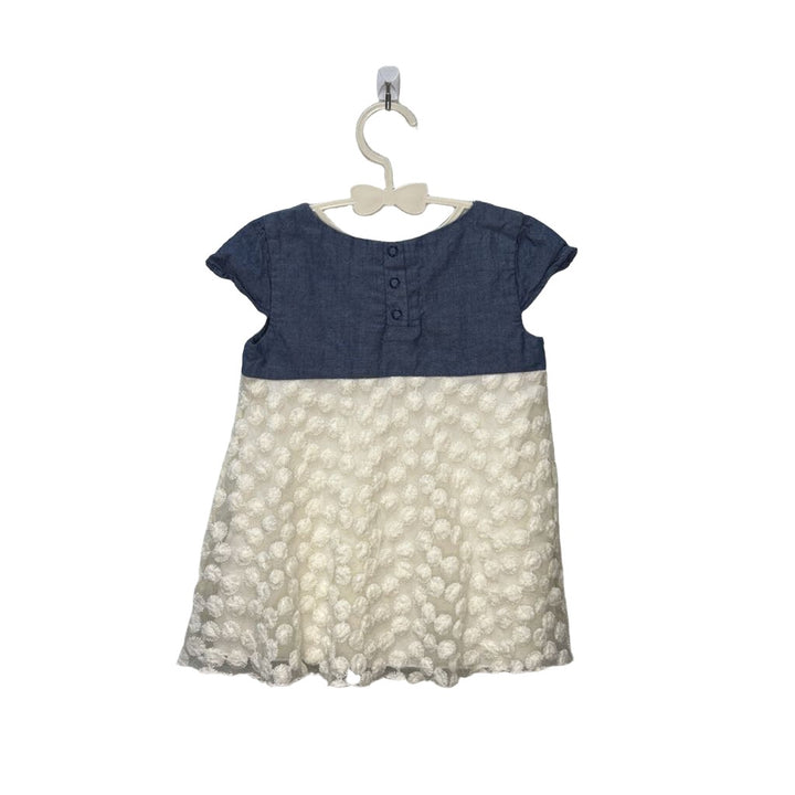 Capped Sleeve Dress / Jean Top + Tulle Bottom