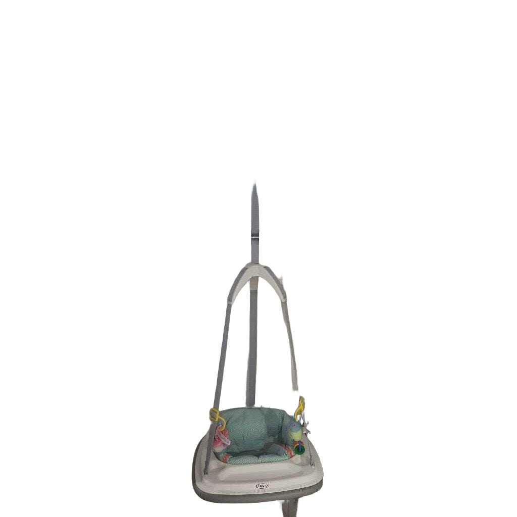 Bumper Doorway Jumper (Flower Toy)