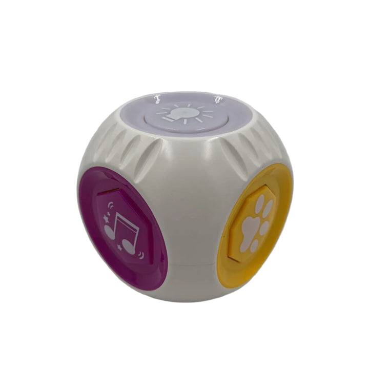 Bilingual Cube Learning Toy
