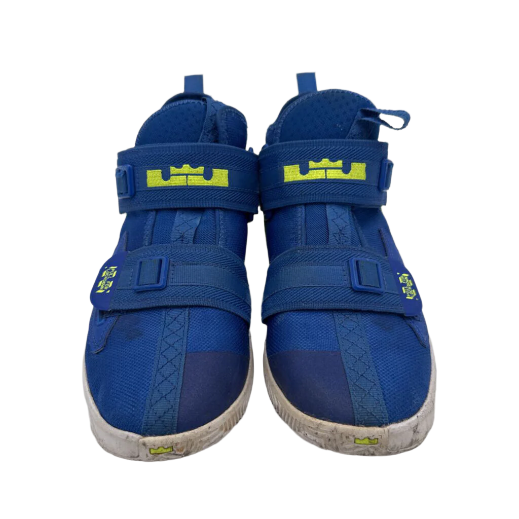 Lebron Basketball Shoe