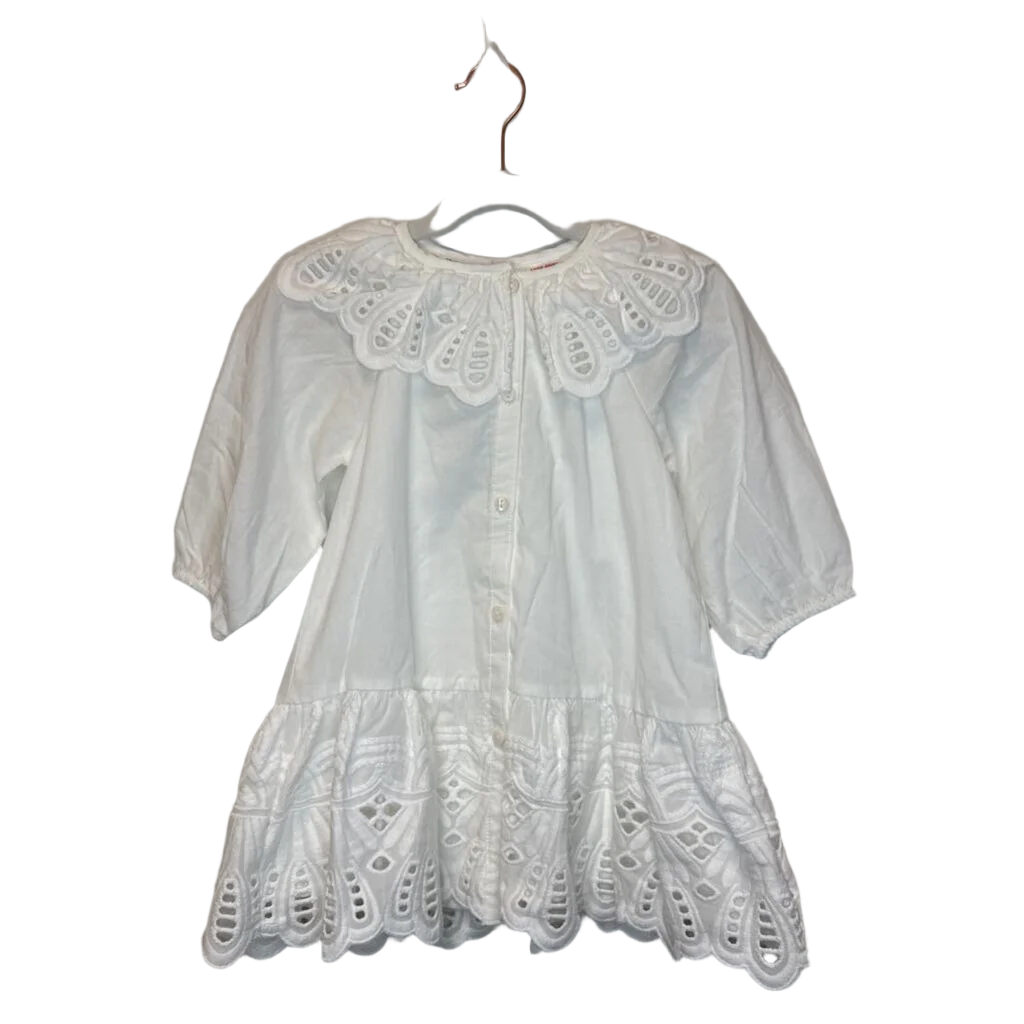 LS Large Collar Button Down Dress