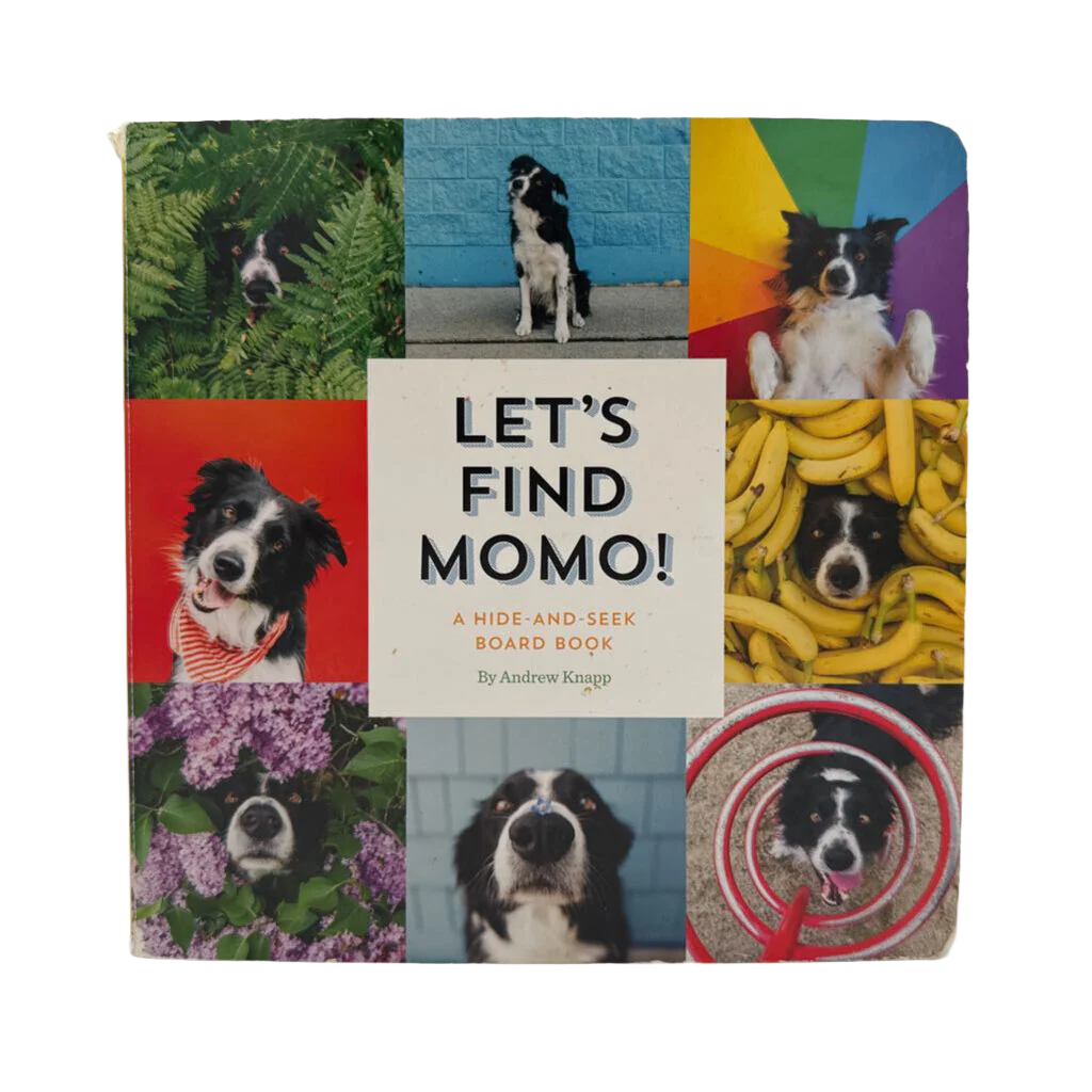 Let's Find Momo! A Hide -And-Seek