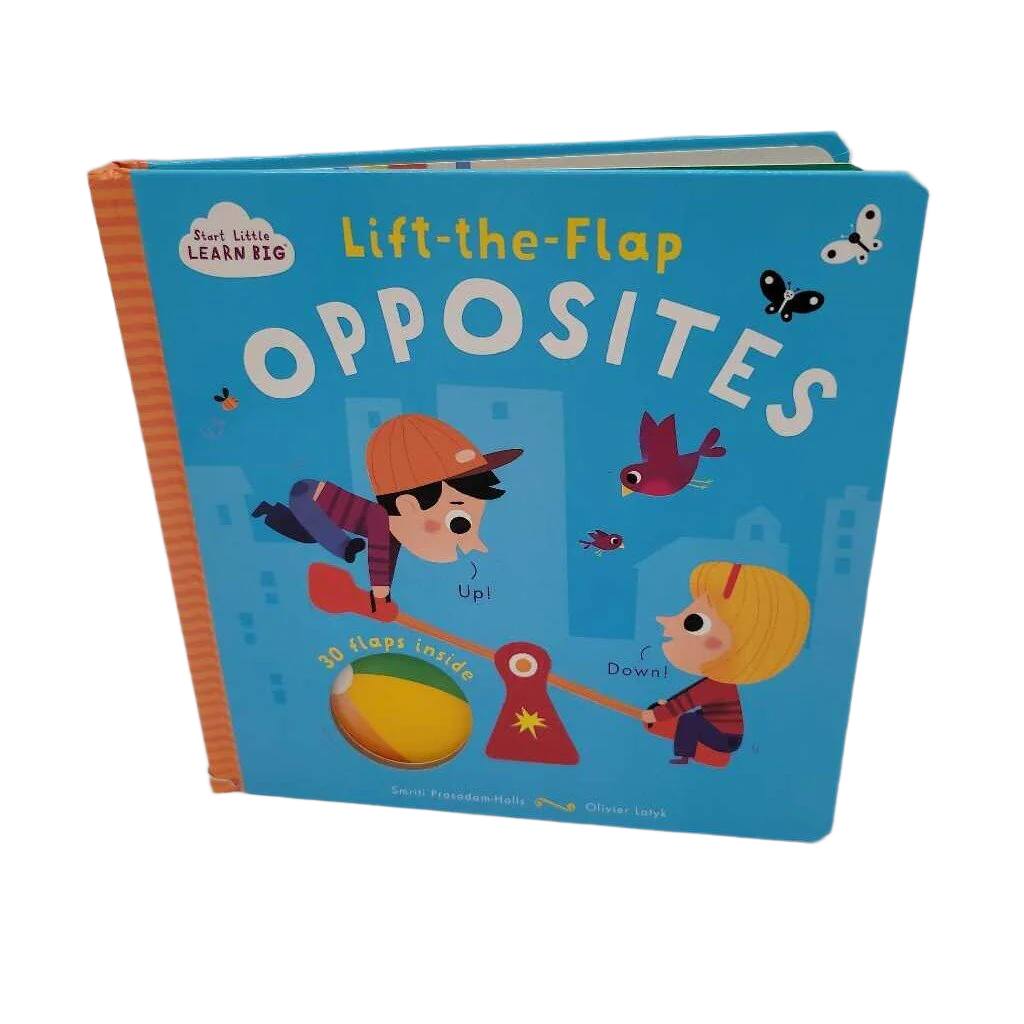 Lift the Flap Opposites