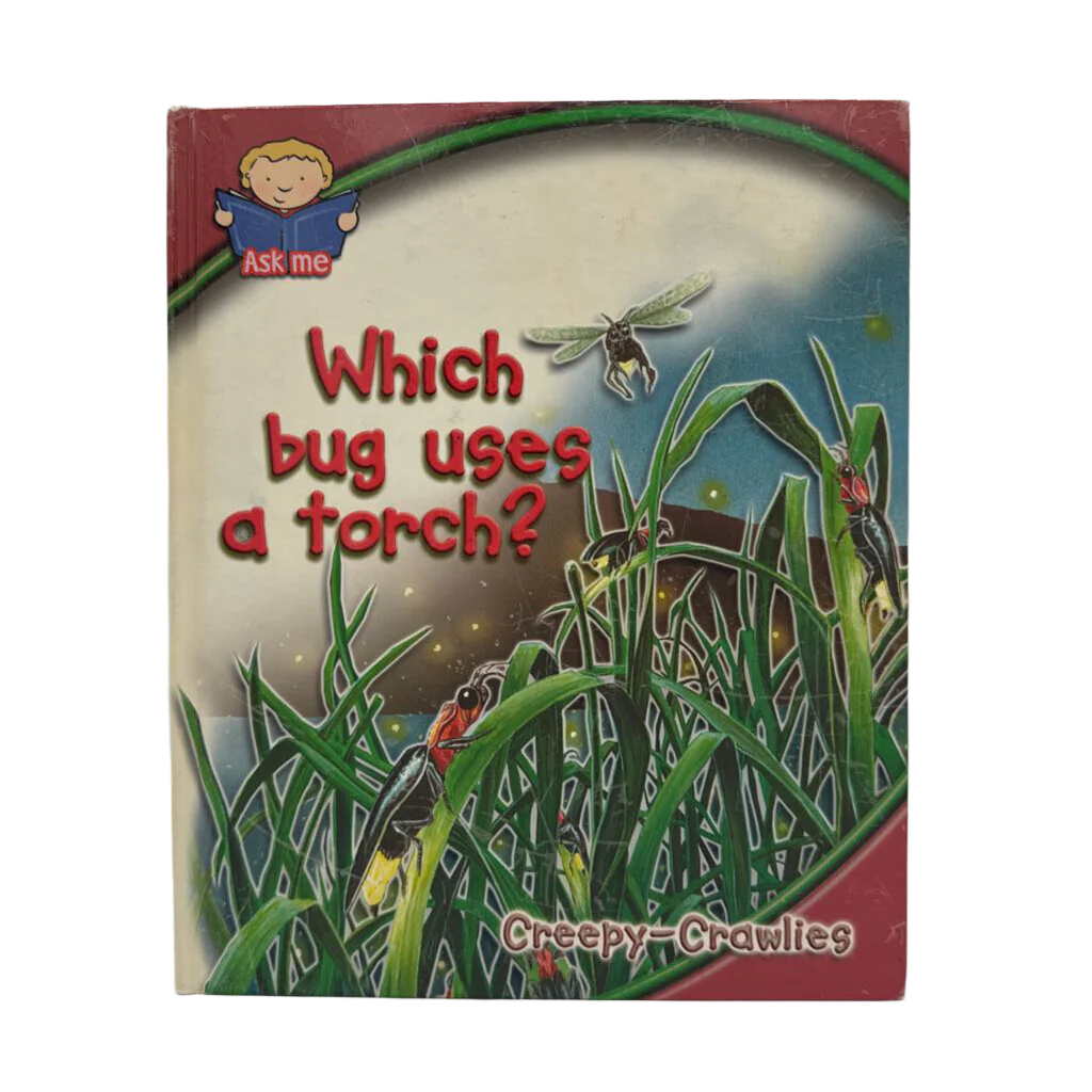 Which Bug Uses A Torch?