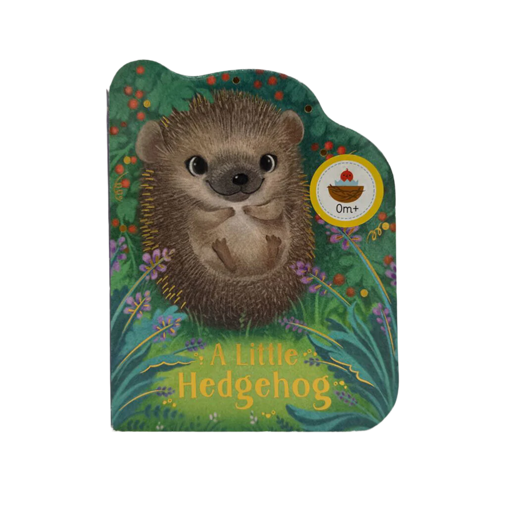 A Little Hedgehog
