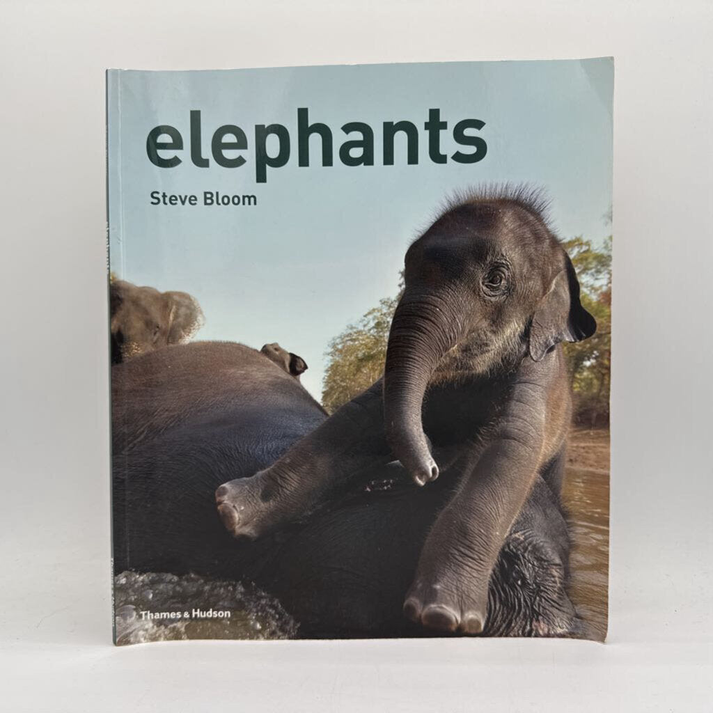 Elephants