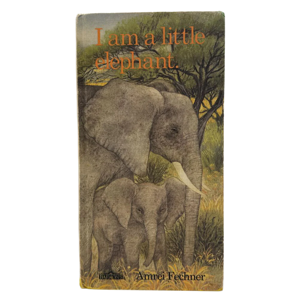 I am a little Elephant