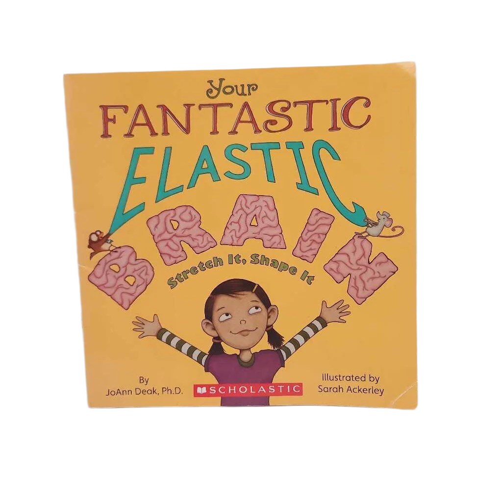 Your Fantastic Elastic Brain