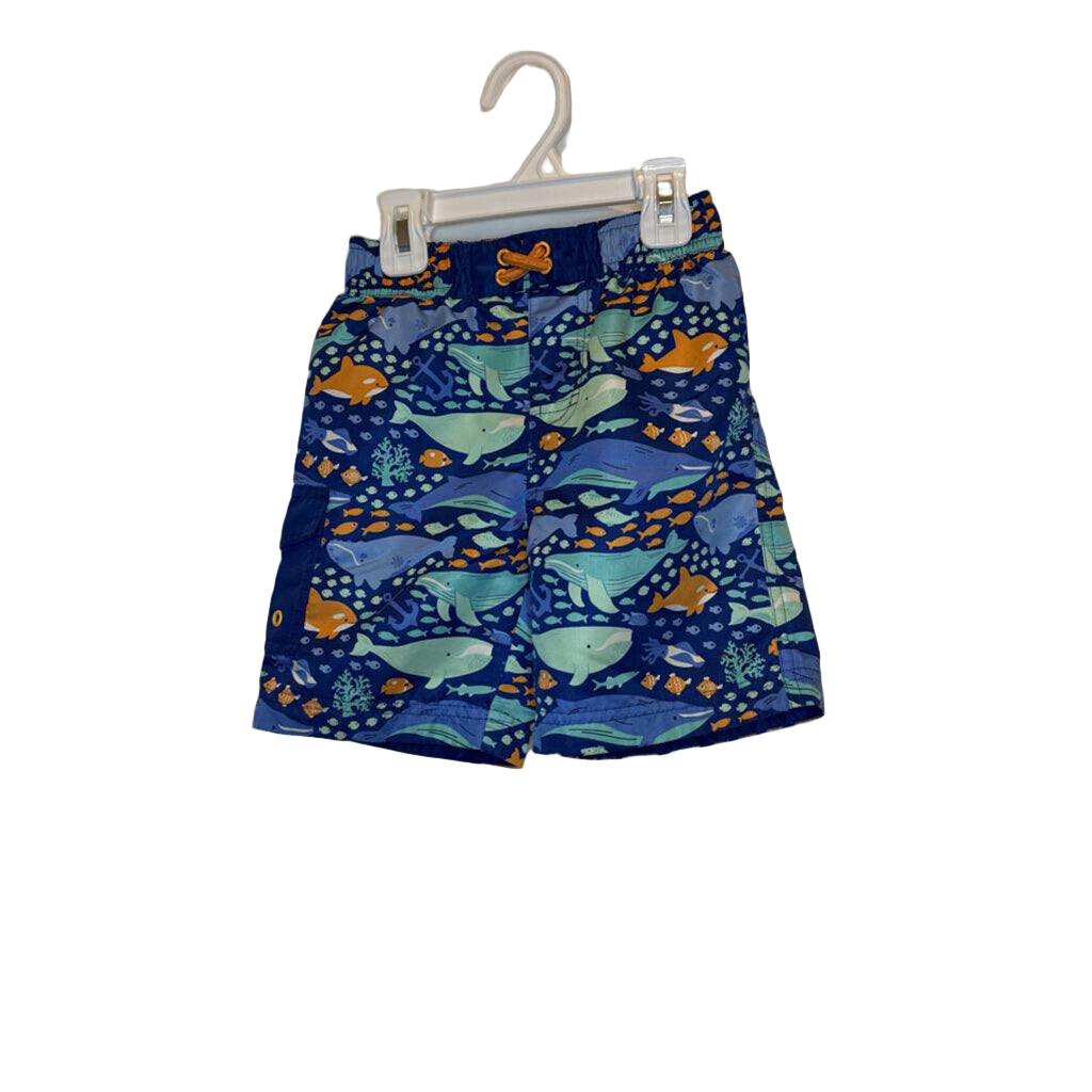 Swim Trunks / Whales