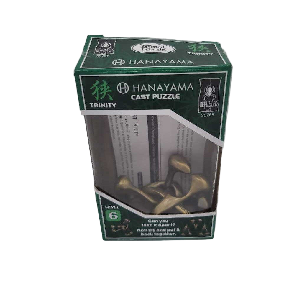 Hanayama Cast Puzzle