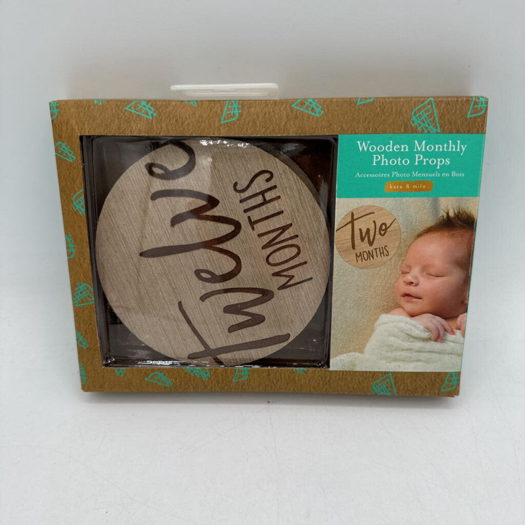 Wooden Monthly Photo Props