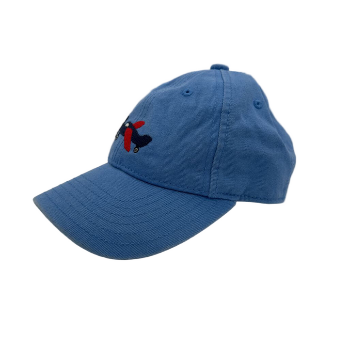 Adjustable Baseball Cap / Plane