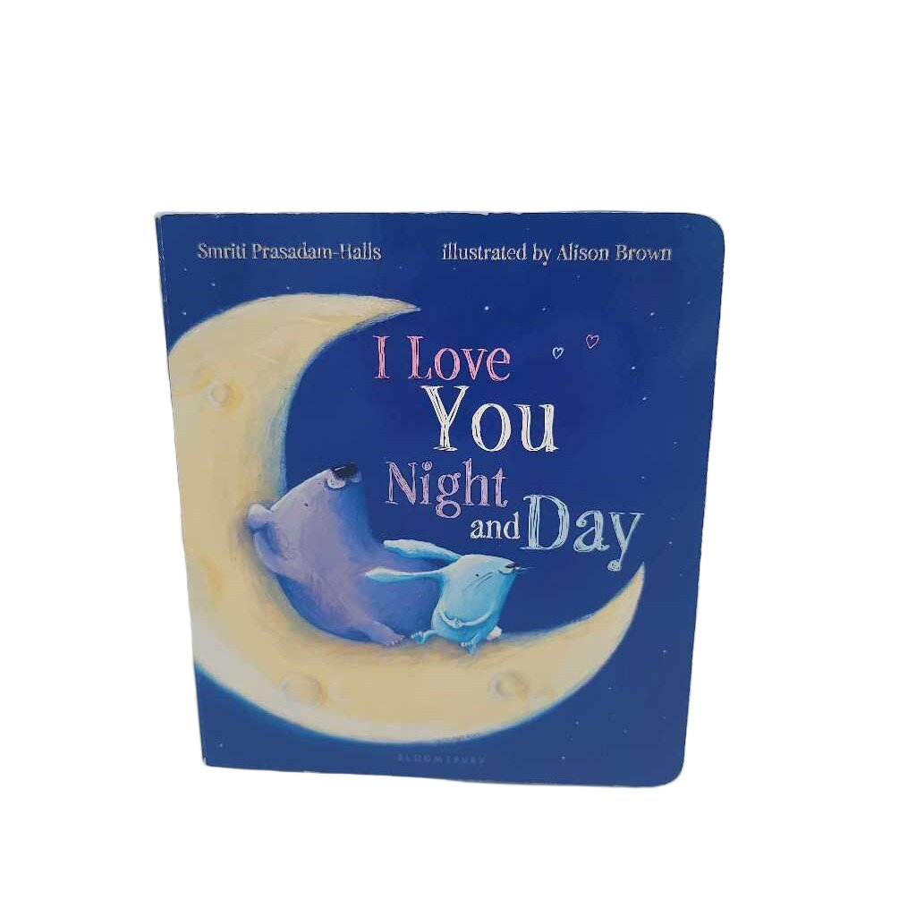 I Love You Night And Day