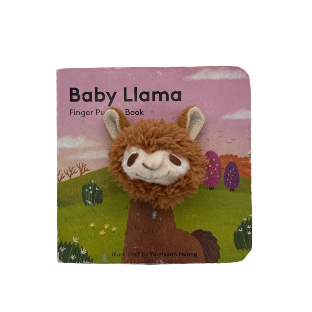 Baby Llama