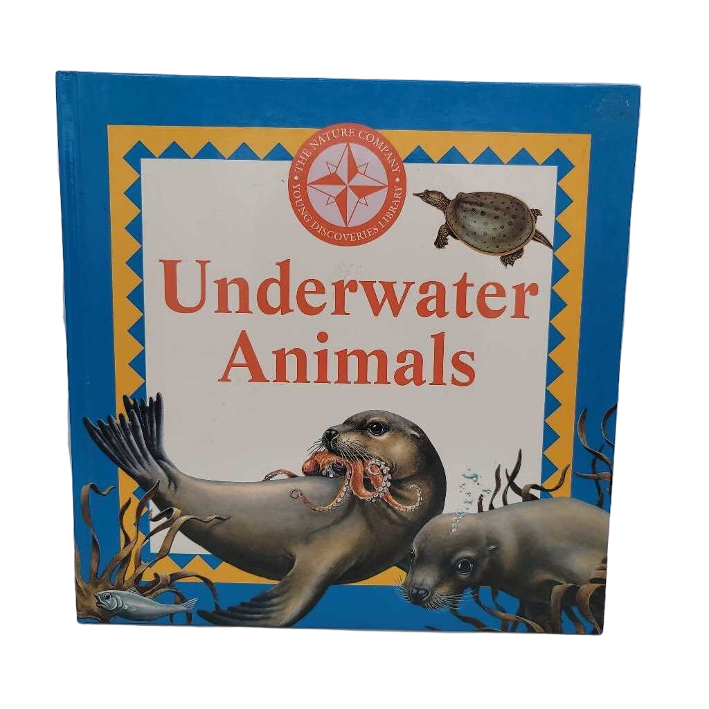 Underwater Animals