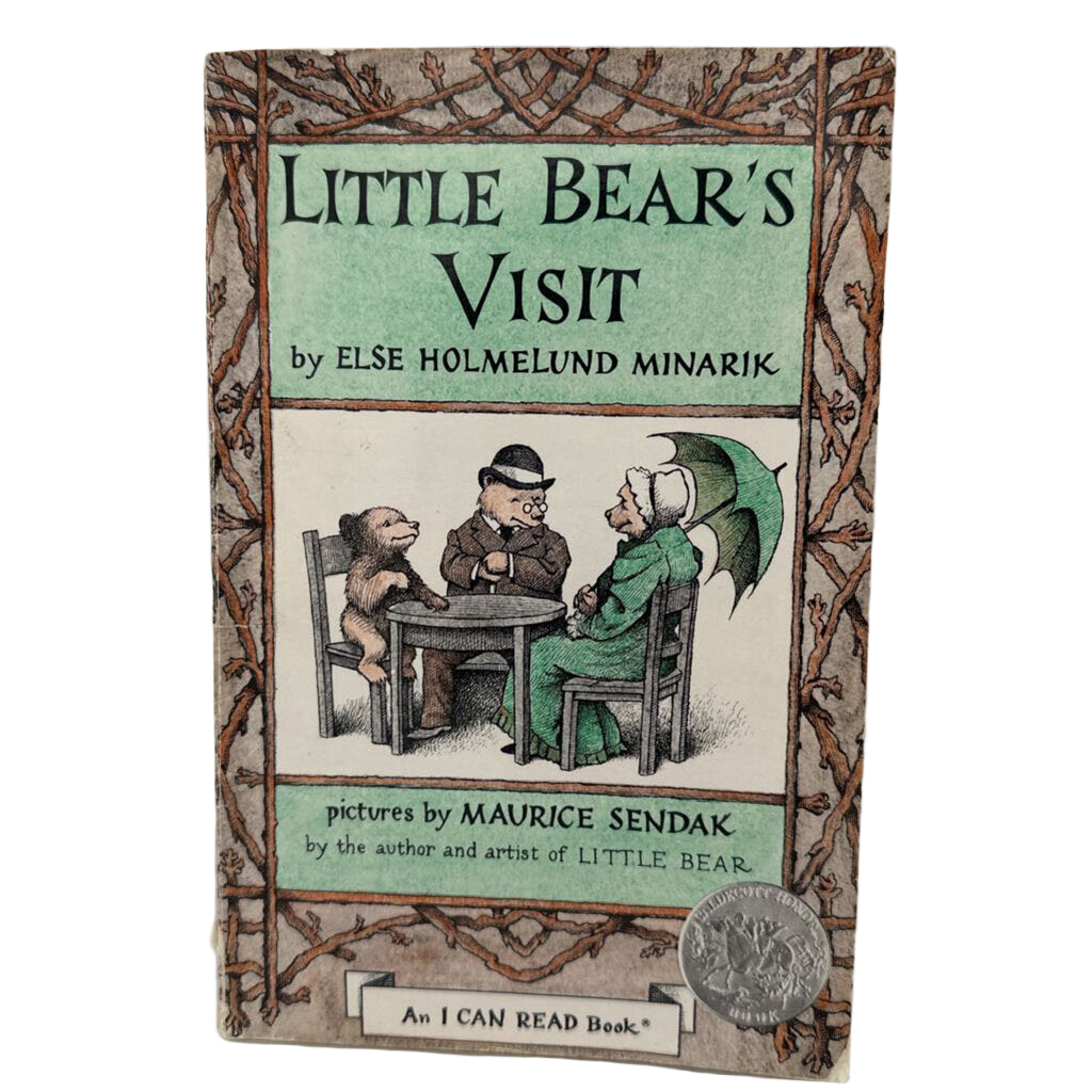 Little Bear's Visit