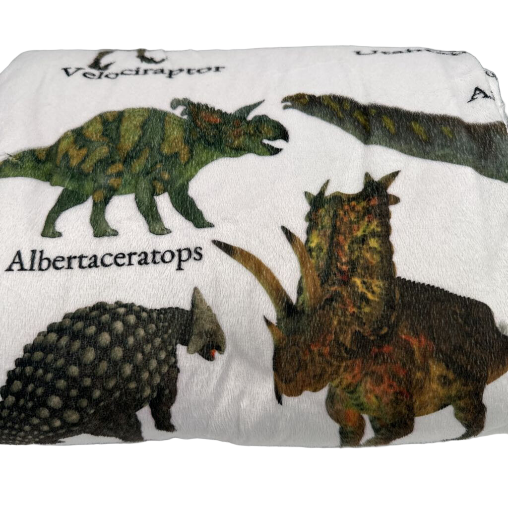 Blanket / Dinosaurs