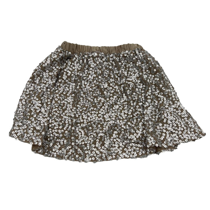 Sequin Skirt