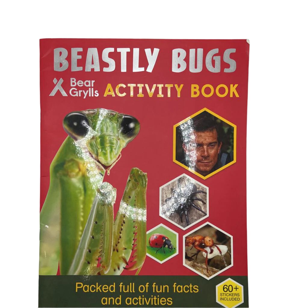 Beastly Bugs Activity Book