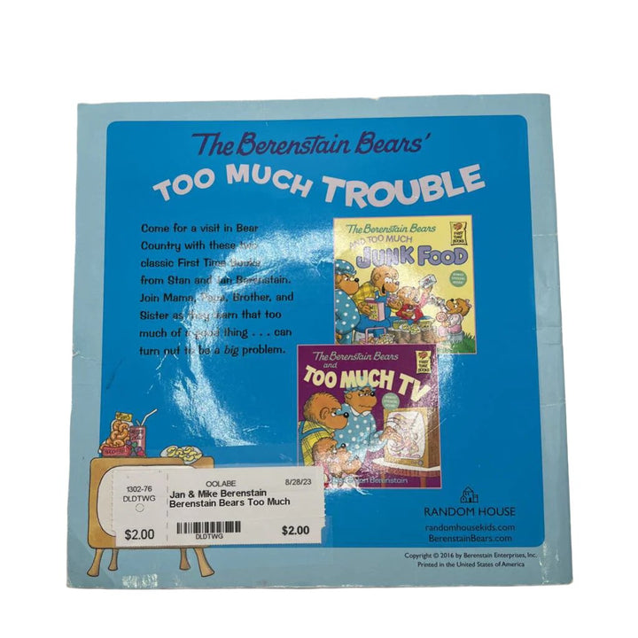Berenstain Bears Too Much Trouble