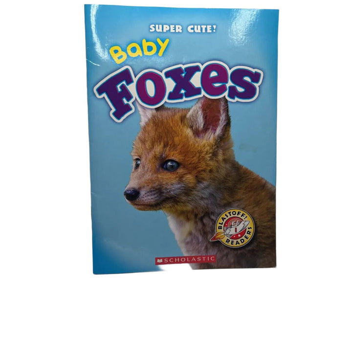 Baby Foxes