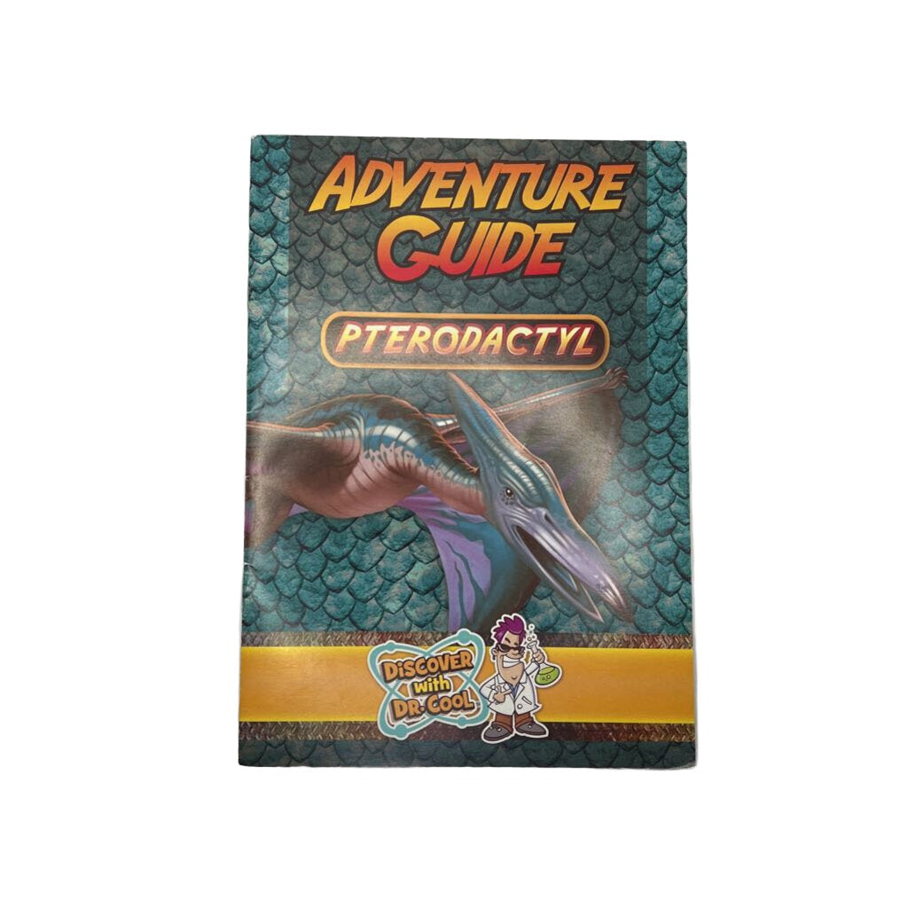 Activity Booklet Dinosour
