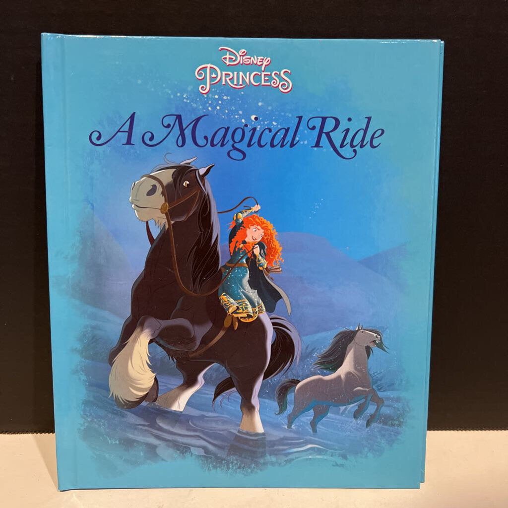 A Magical Ride (Me Reader)