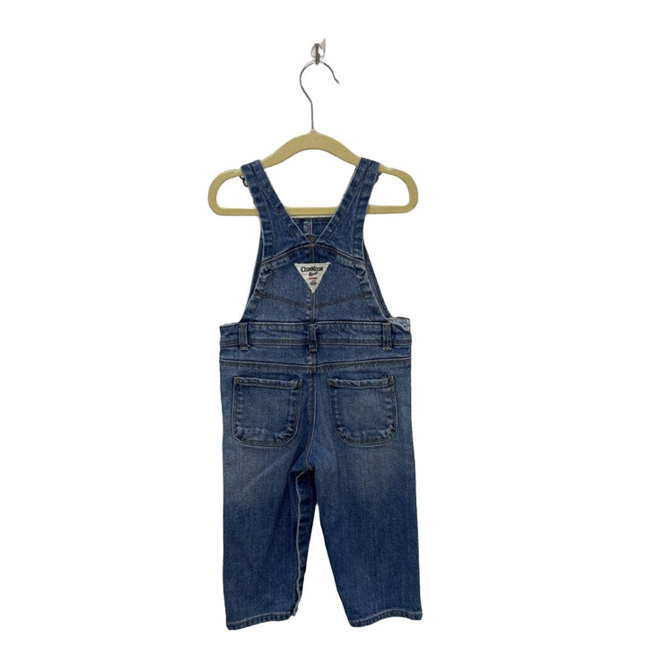 Denim Overalls