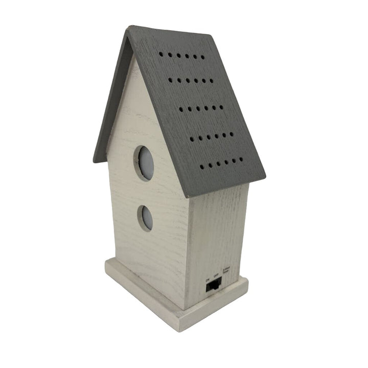 Light Up Bird House