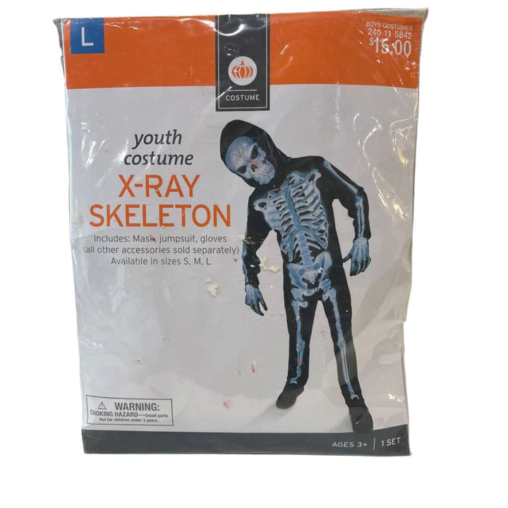 X-Ray Skeleton