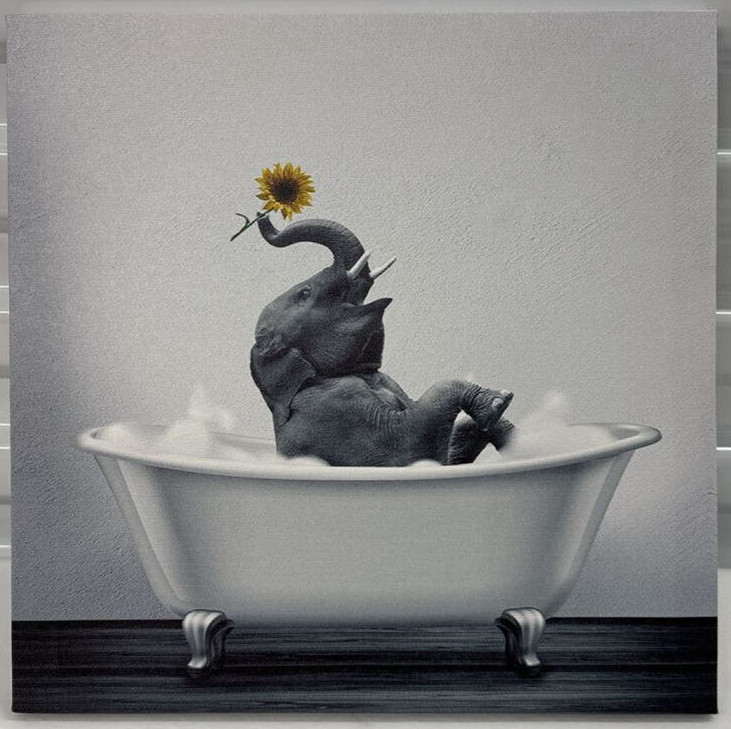 Canvas Elephant Picture