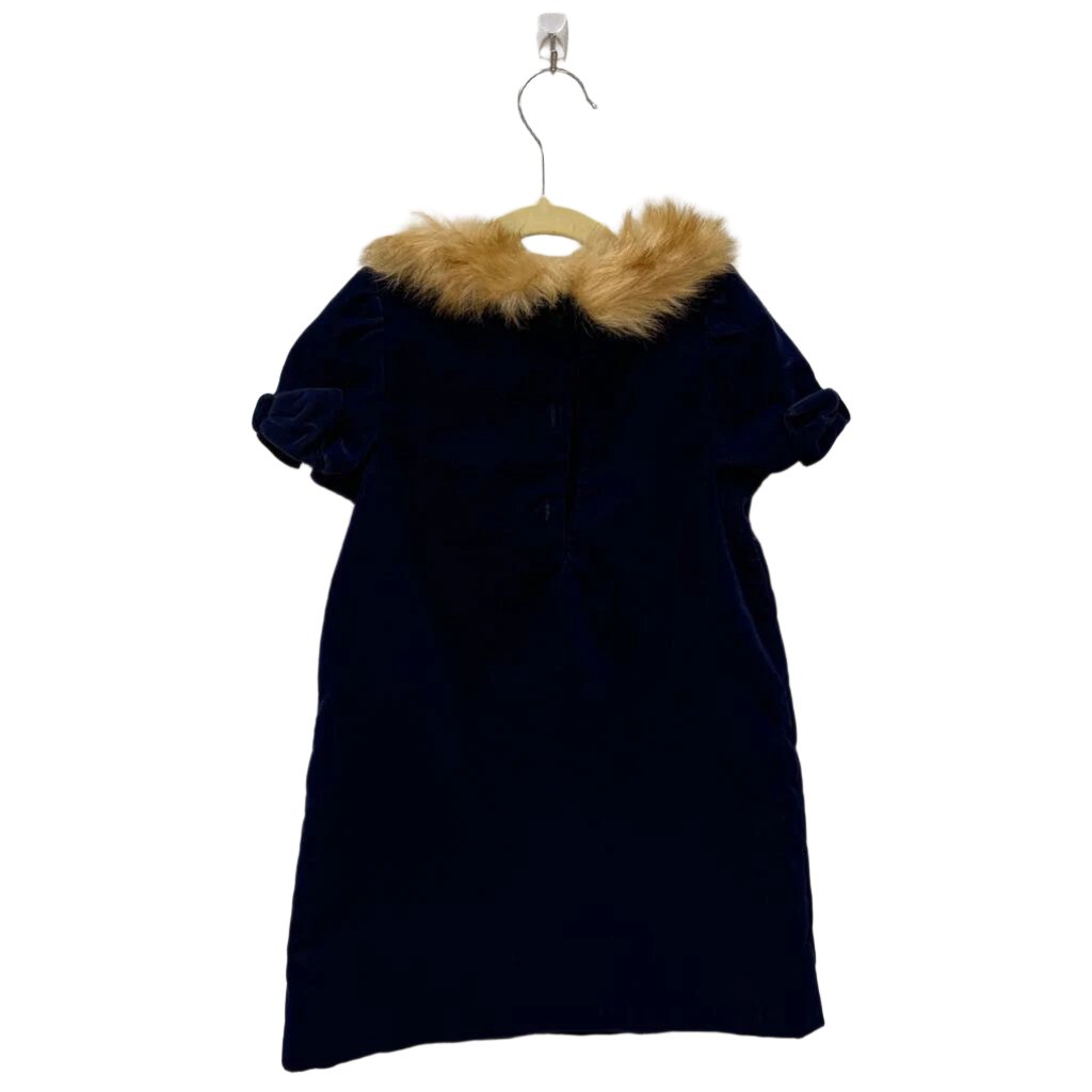 SS Velvet Dress w/ Fur Collar