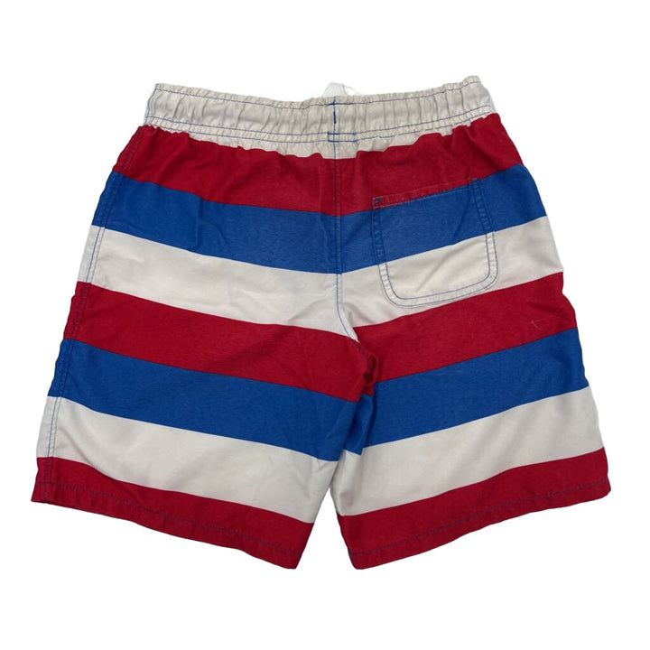 Swim Trunks / American Flag Stripes