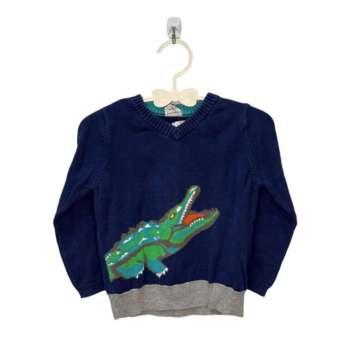 LS V-Neck Sweater Shirt / Aligator