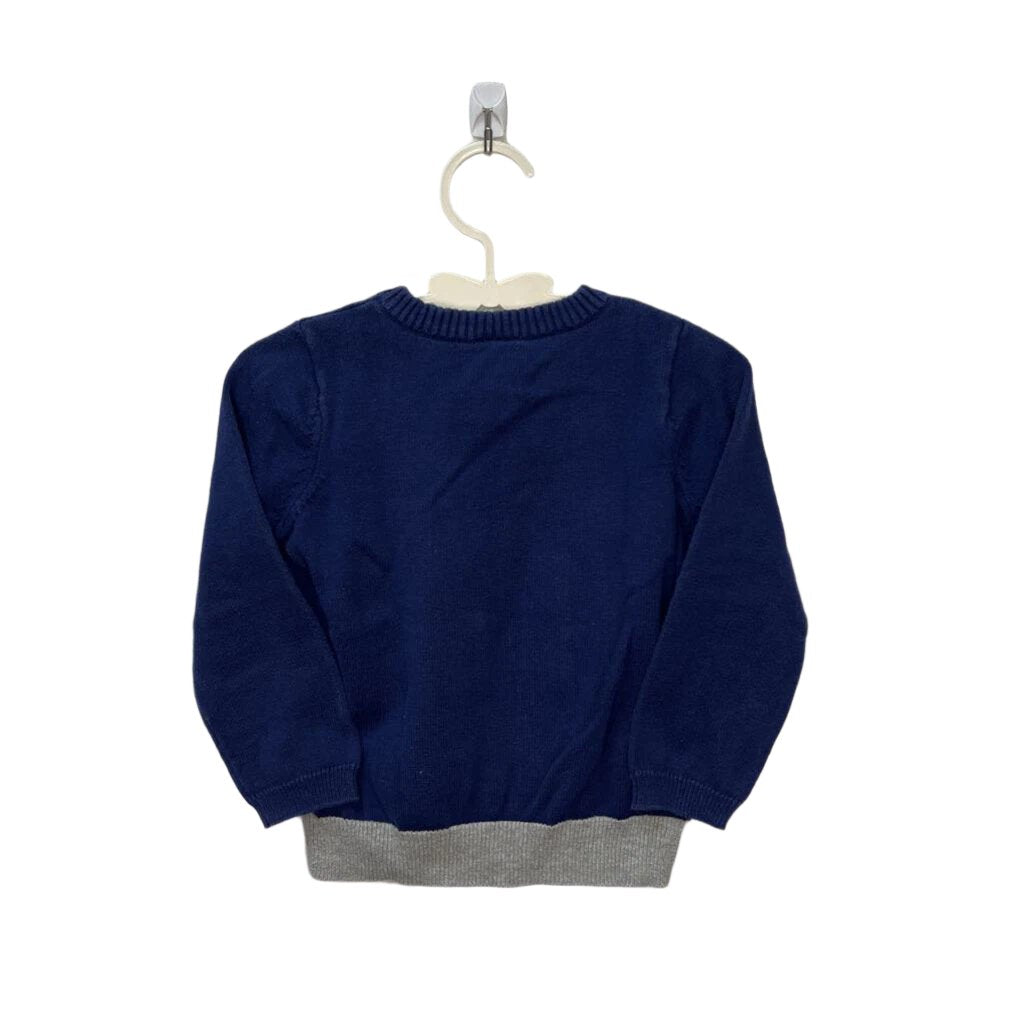 LS V-Neck Sweater Shirt / Aligator