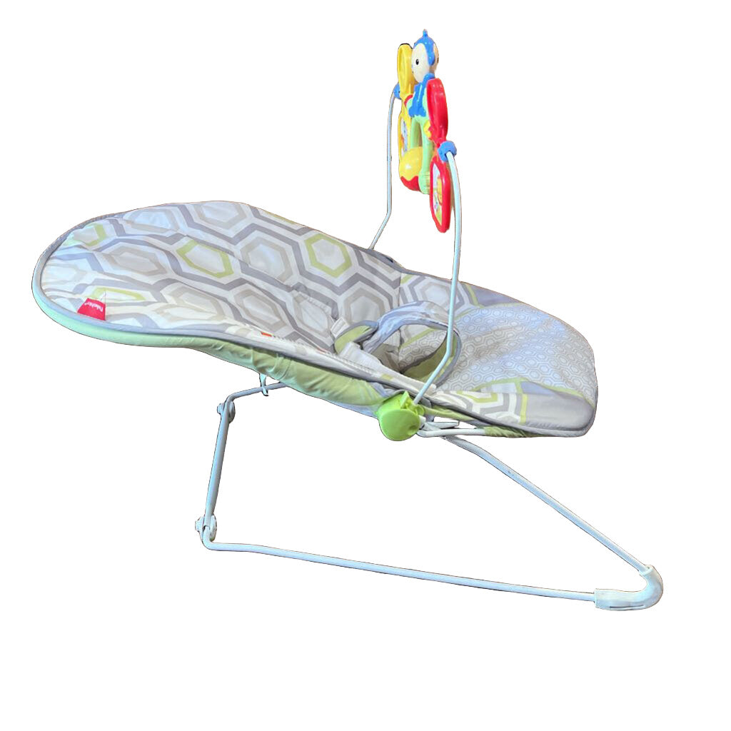 Bouncer Seat + Safari Toy Attachment