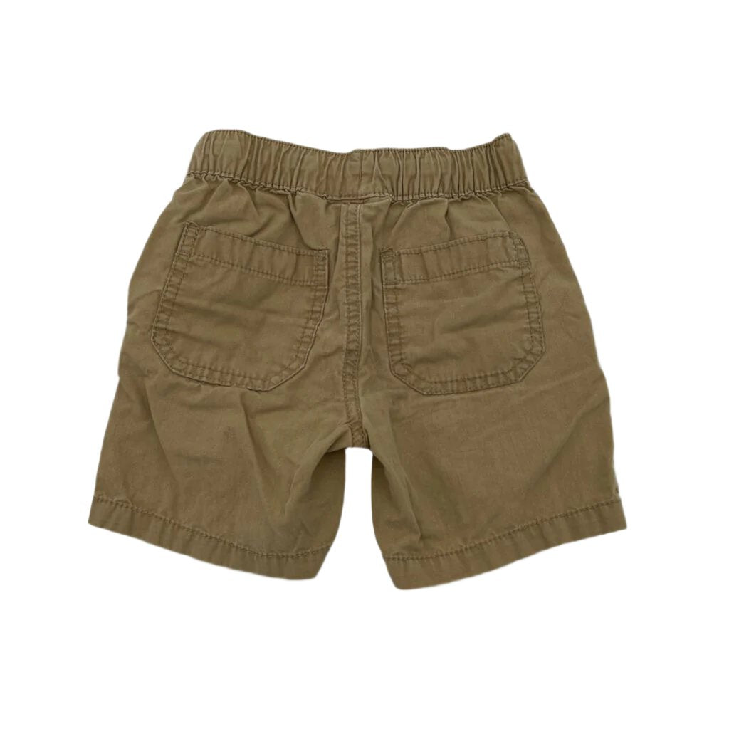 Elastic Waist Shorts