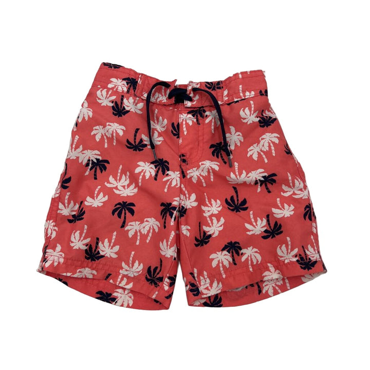 Swim Trunks / Palm Trees