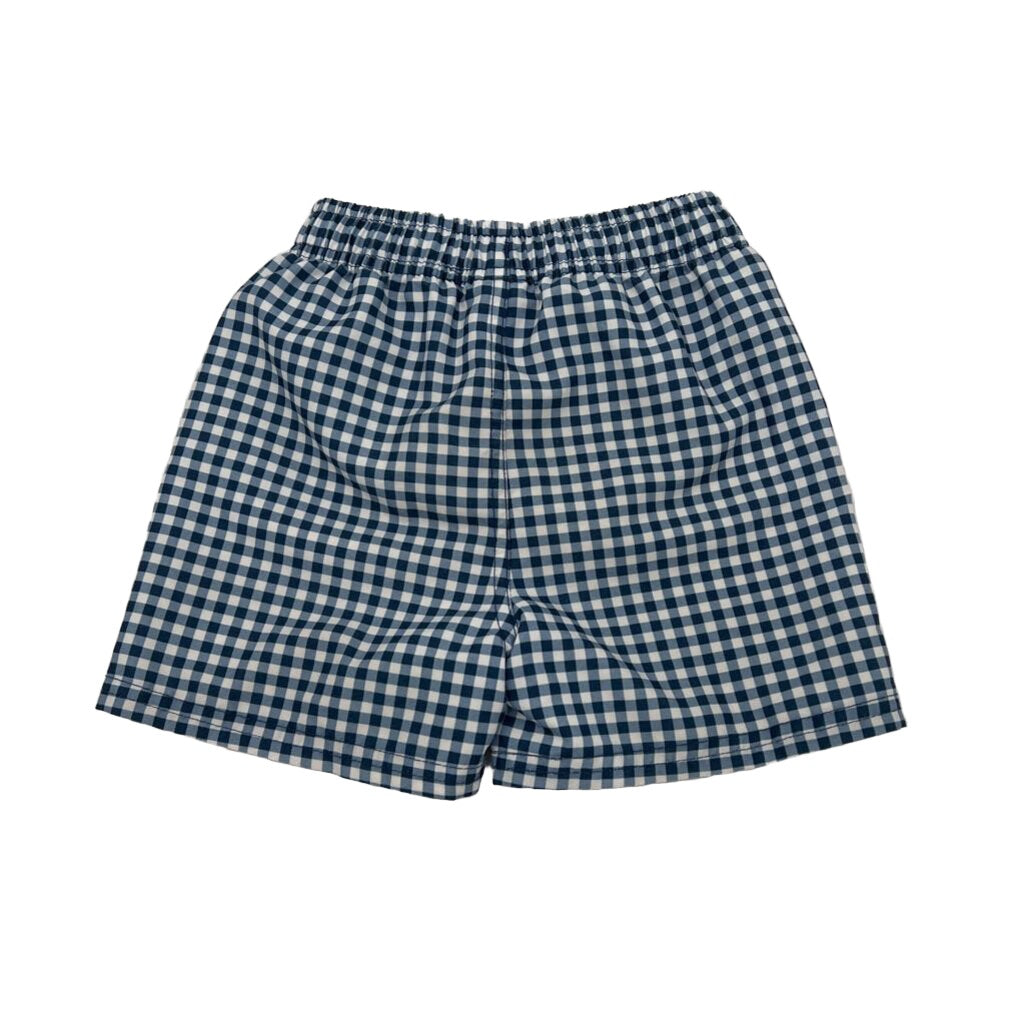 Swim Trunks / Checkered