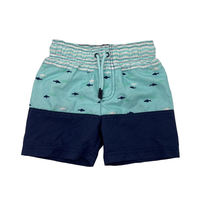 Swim Trunks