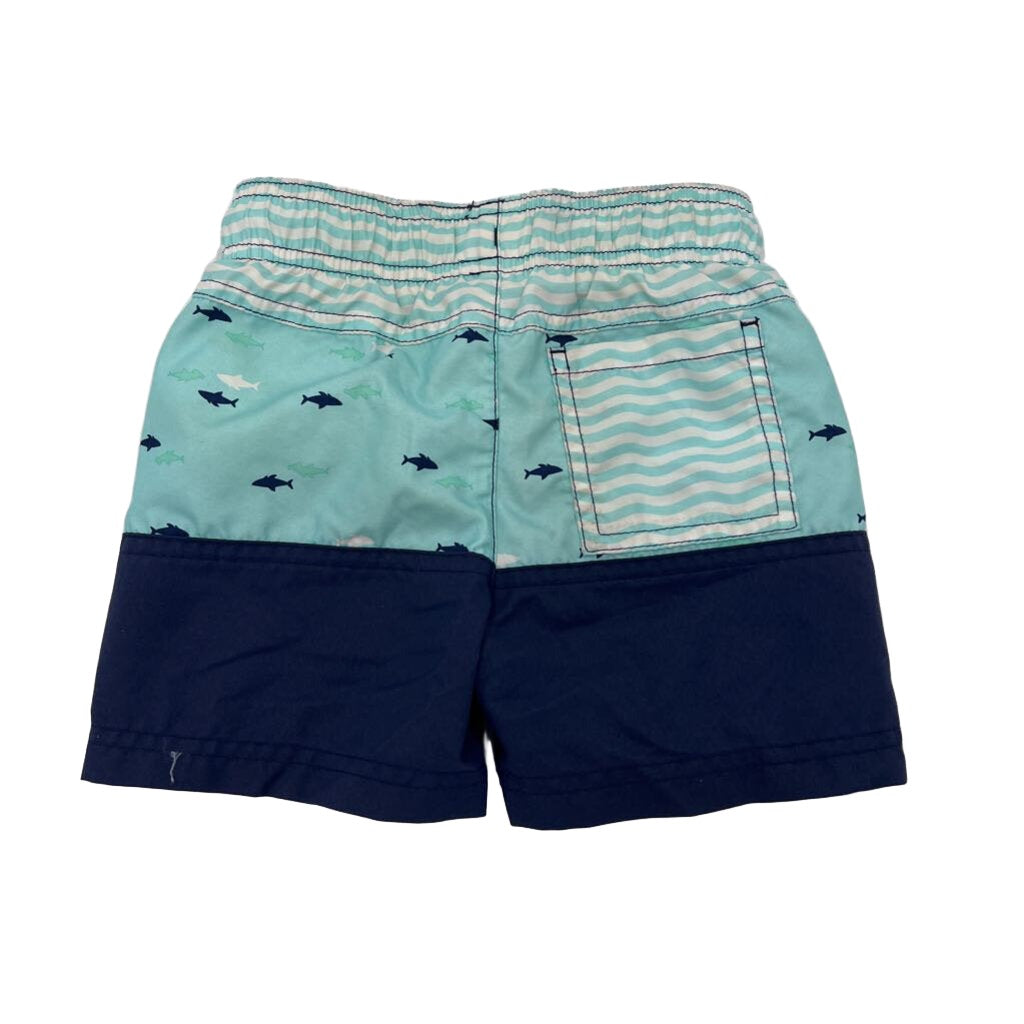 Swim Trunks