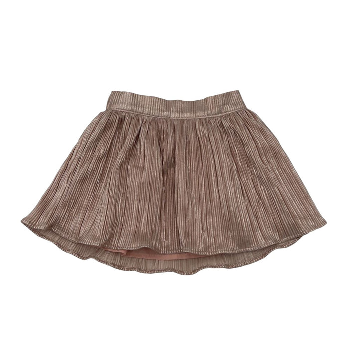 Metallic Skirt