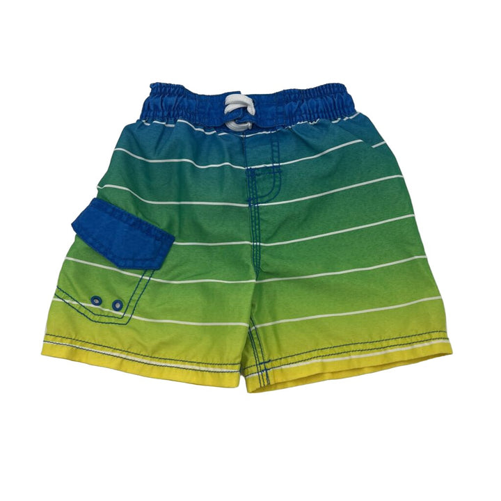 Swim Trunks / Striped