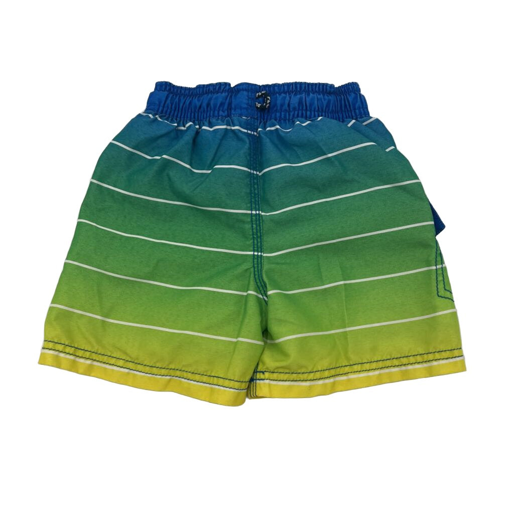 Swim Trunks / Striped