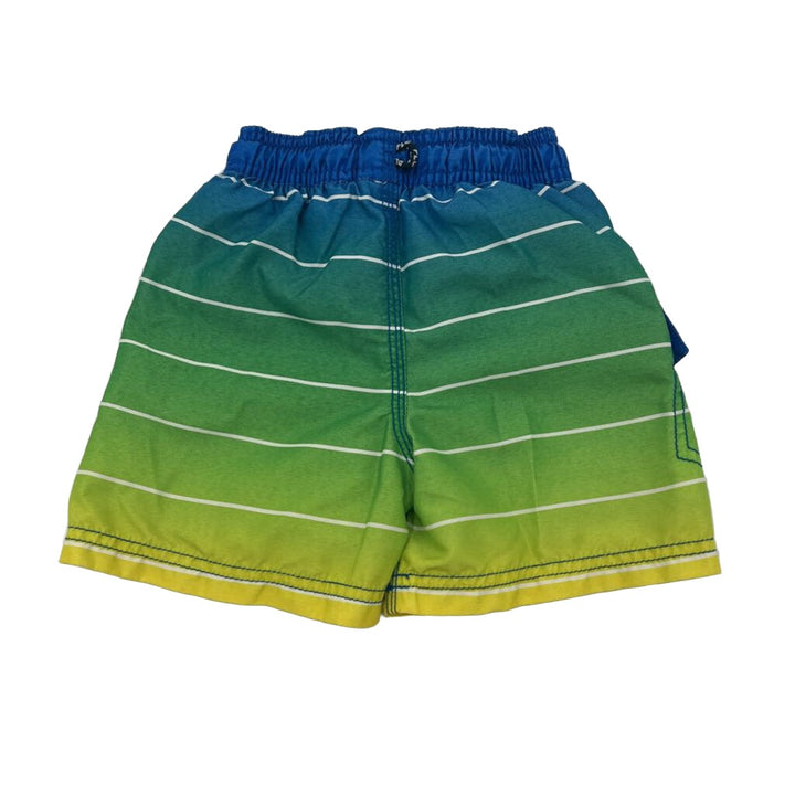 Swim Trunks / Striped