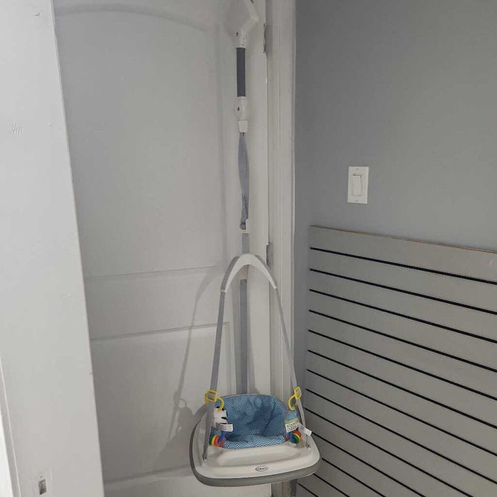 Bumper Doorway Jumper (Zebra Toy)