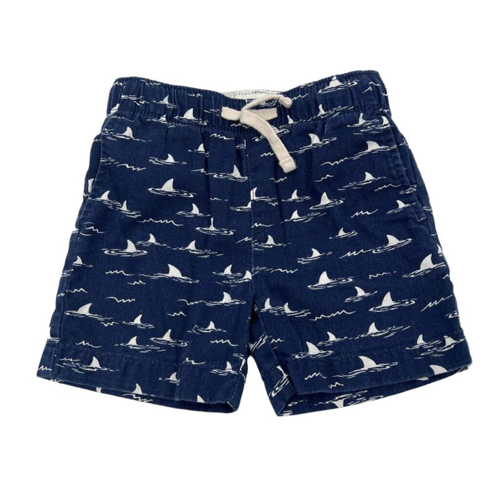 Drawstring Waist Shorts / Shark Fin